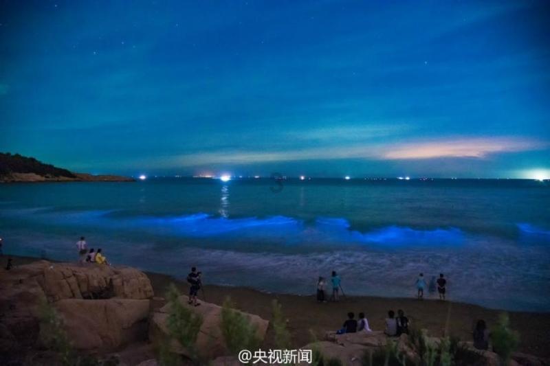 订婚短句八个字？游戏画面