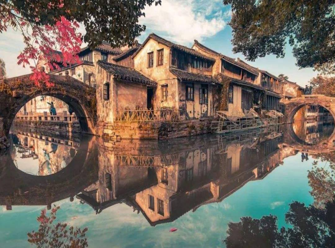 大金狮逃生